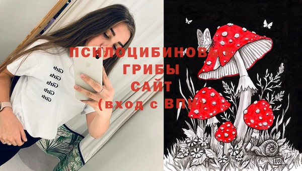 кокс Касимов