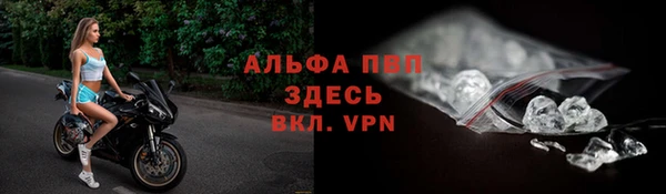 кокс Касимов