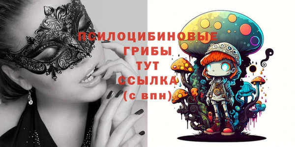 кокс Касимов