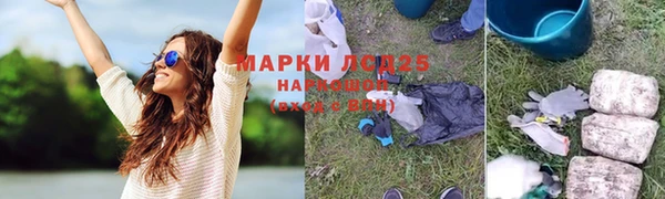кокс Касимов