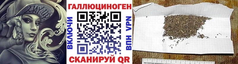 Псилоцибиновые грибы Psilocybe  Купить закладки  Медвежьегорск 